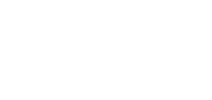 Blue Bali Surf Logo